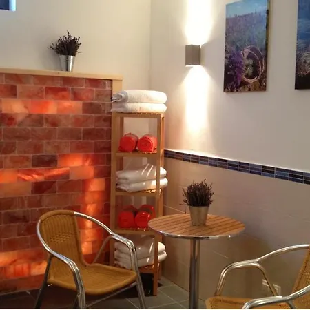 Fuerjes Panzio 4* 巴拉顿菲赖德