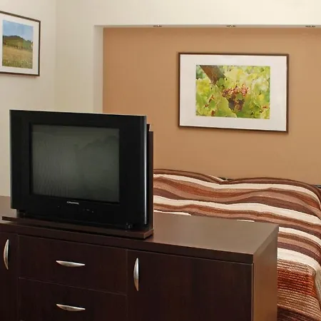 Fuerjes Panzio 招待所 巴拉顿菲赖德