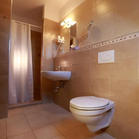 Fuerjes Panzio 巴拉顿菲赖德