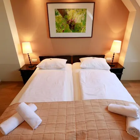 Konukevi Fuerjes Panzio 4*