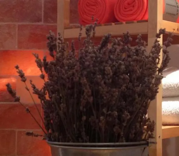 Fuerjes Panzio Balatonfured