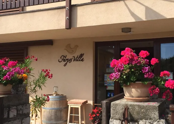 Guest house Fuerjes Panzio Balatonfured