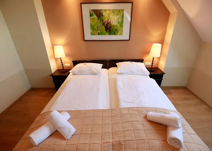 בית הארחה Fuerjes Panzio 4*